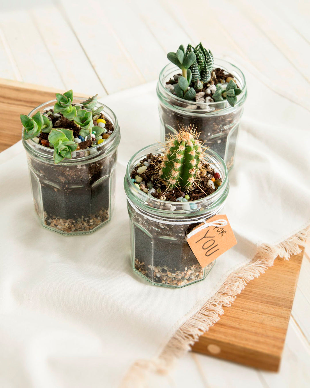 Homemade Terrariums Bonne Maman USA